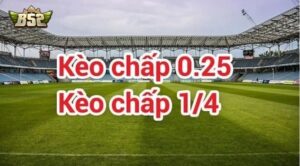 Định nghĩa về loại Kèo Chấp 1/4 là gì?